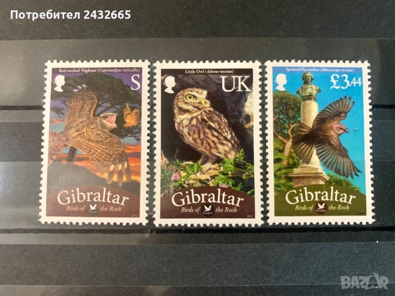 1543. Гибралтар 2012 ~ “ Фауна. Птици от скалите. ” , **, MNH, снимка 1