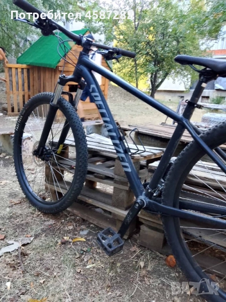 Specialized Rockchopper 2025, снимка 1