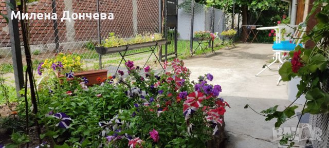 НОЩУВКА 0882423960, снимка 14 - Квартири, нощувки - 42432903