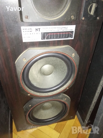 Тонколони AUDIOTON TRIDENT TS 120, снимка 4 - Тонколони - 52227373