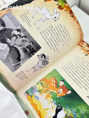 How to draw Bambi| Disney| Как да нарисуваш Бамби , снимка 4 - Други - 51591339