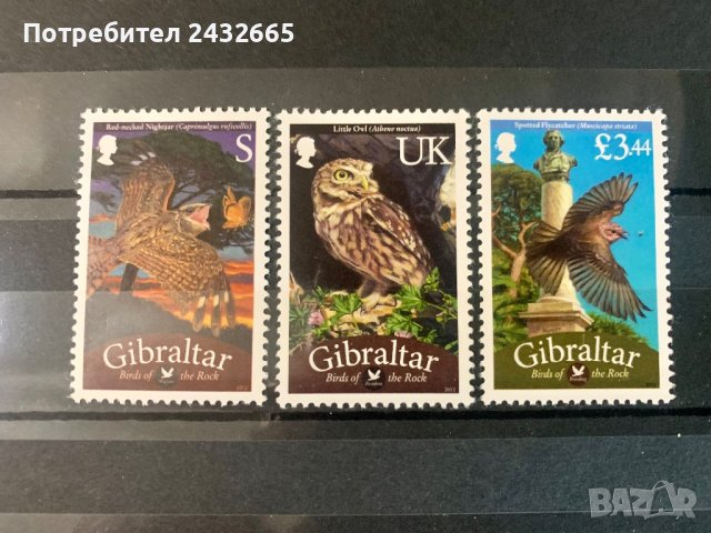 1543. Гибралтар 2012 ~ “ Фауна. Птици от скалите. ” , **, MNH, снимка 1 - Филателия - 40615222