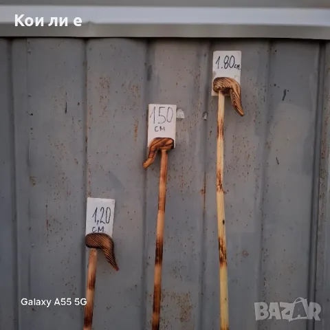 геги кривци за коледуване , снимка 3 - Други стоки за дома - 48019326