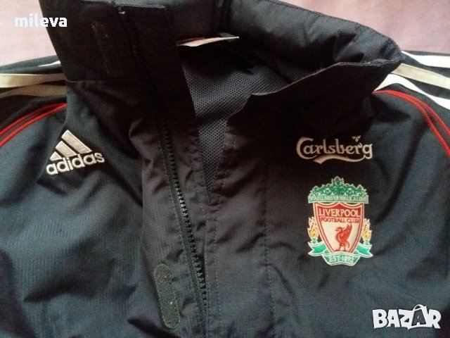 Adidas liverpool  оригинално, снимка 2 - Детски якета и елеци - 30634451