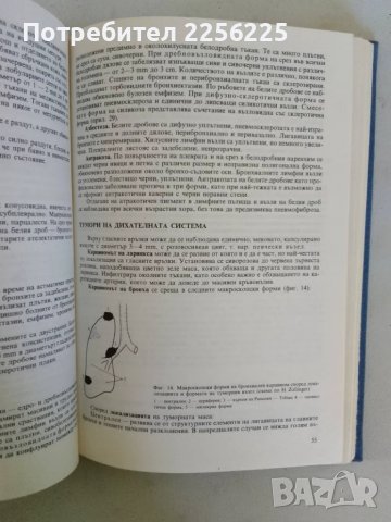 Ръководство за практически упражнения по патологична анатомия, снимка 2 - Специализирана литература - 47491720