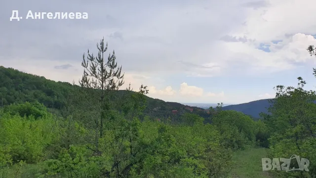 Парцел с.Храбрино 3 677кв, снимка 4 - Парцели - 47843333