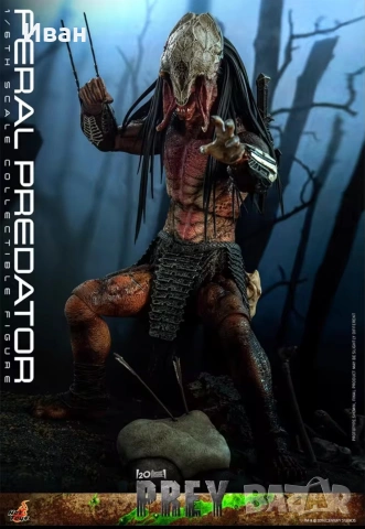 Hot Toys Хищникът от филма Плячката / Hot Toys Predator from the Prey, снимка 7 - Други игри - 52871919