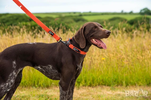 Изключително здрав повод за кучета Mountain Paws | Двуслойна тъкан с мека дръжка, 1,15 метра, червен, снимка 5 - За кучета - 44167138