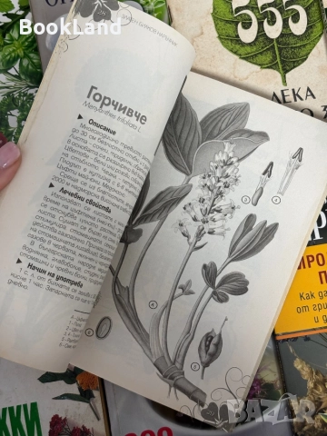 Много книги за билки. Всяка по 5 лв. , снимка 3 - Други - 51961659