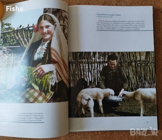 Продавам книгата "Царство България в цвят", снимка 8 - Художествена литература - 54153569
