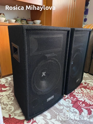 Тонколони VONYX 10 инчови 500 Watta, снимка 4 - Тонколони - 53052169