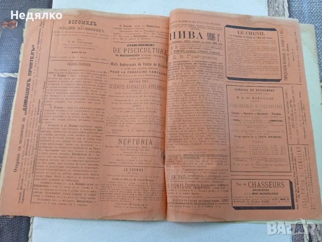 Списание Природа,1896г,печати, снимка 14 - Антикварни и старинни предмети - 37780277