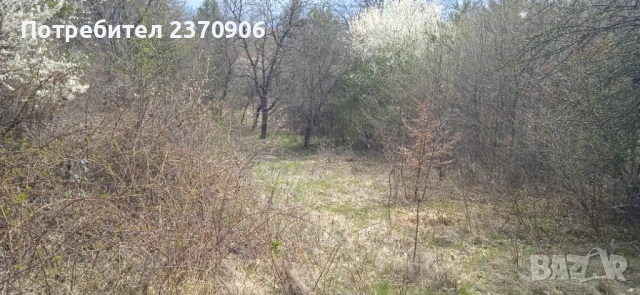 Продава парцел в гр.Своге, снимка 3 - Парцели - 54221849