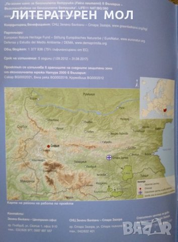 Възстановяване на белошипата ветрушка: Обобщен отчет, снимка 3 - Други - 30109115