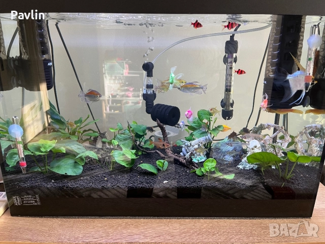 Аквариум 80L , снимка 2 - Аквариуми - 52751049