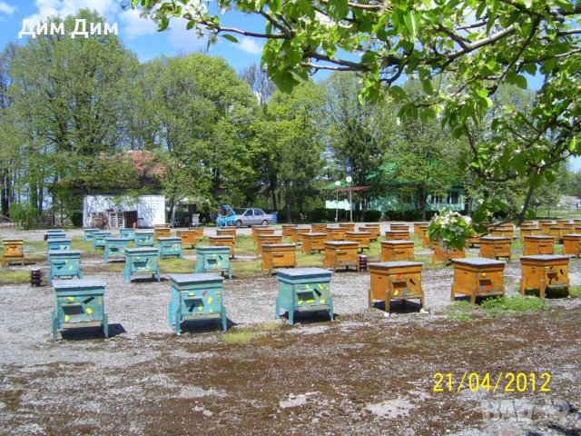Кошери за пчели, с и без магазини, снимка 3 - За пчели - 40604358