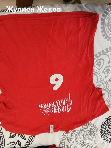 11 броя тениски,запазени размер L, снимка 8 - Тениски - 53885766