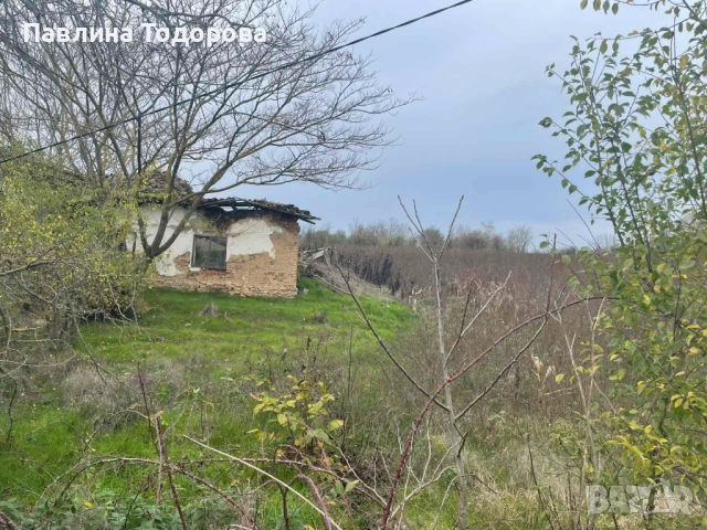 "ПРЕСТИЖ-П"ЕООД ПРОДАВА ПАРЦЕЛ СЪС СТАРА КЪЩА В СЕЛО ЦАРЕВЕЦ, снимка 2 - Къщи - 52570249