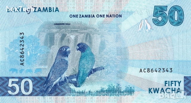 ❤️ ⭐ Замбия 2024 50 квача UNC нова ⭐ ❤️, снимка 3 - Нумизматика и бонистика - 51984313