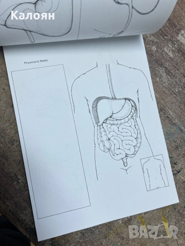 Скицник с анатомични модели за рисуване , снимка 3 - Други - 52196212