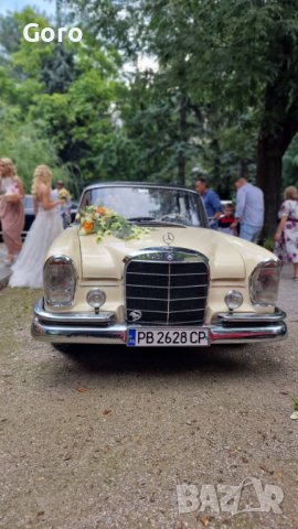Ретро  Мерцедес за сватби под  наем  - КЛИМАТИК , снимка 12 - Транспорт под наем - 22020871