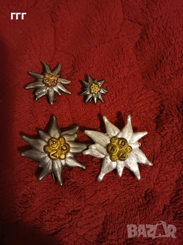 Вермахт планински части значки, снимка 3 - Колекции - 53881632