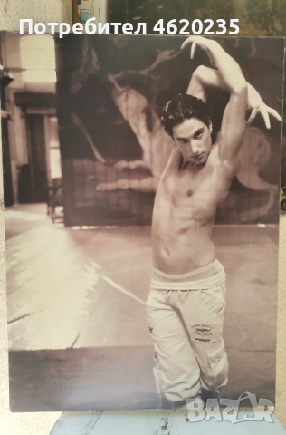 Различни видове и размери картини , снимка 5 - Други стоки за дома - 52225044