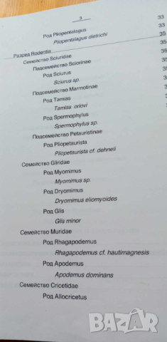 Плиоценски дребно бозайници - дипломна работа, снимка 3 - Специализирана литература - 44655504