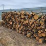 Продавам дърва за огрев 70лв Стара Загора, снимка 1 - Дърва за огрев - 42432642