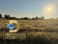 Парцел в село Боздуганово, общ. Раднево, снимка 4