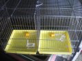 Клетка за канарчета двойна голяма XL , и за други птици, снимка 2