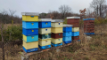 Корпуси за пчелни кошери многокорпусна система /ЛР/