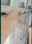 Монтесори детско легло, снимка 4