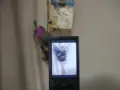 Apple iPod Nano Model A1320, снимка 7
