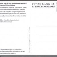 Пощенска картичка Фауна Птица Сова от Германия, снимка 2 - Филателия - 37502593