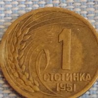 Две монети 1 стотинка 1951г. България перфектно състояние за КОЛЕКЦИОНЕРИ 39538, снимка 3 - Нумизматика и бонистика - 44431133