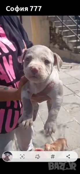 топ малки страхотни бебета от добри родители, снимка 1