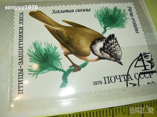 МАРКА 14 1979 СССР 1603231351, снимка 8 - Филателия - 40021447
