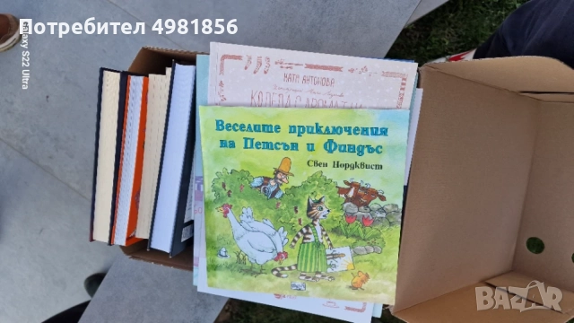 Веселите приключения на Петър и Финдъс