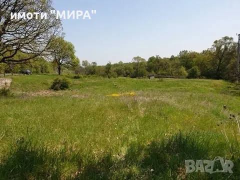 СТОПАНСКИ ДВОР в с. Козлец, обл. Хасково, снимка 4 - Парцели - 49435073