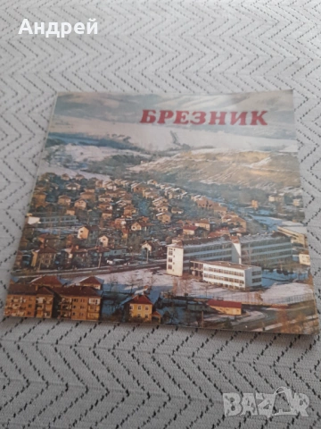 Книга Брезник