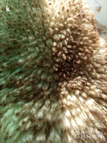 Детска шапка ,естествена кожа, снимка 4 - Шапки - 51151151