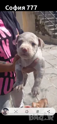 топ малки страхотни бебета от добри родители