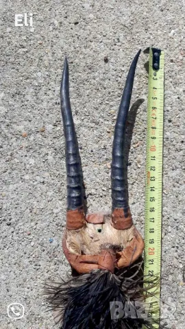 Рога от африканска антилопа , снимка 2 - Декорация за дома - 47500456
