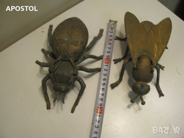 бронзов пепелник бръмбар