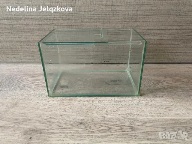 Аквариум , снимка 1