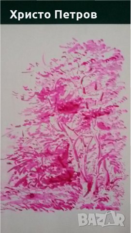 ГРАФИКА ЦВЕТНА - ВИТОША, БГ АВТОР, снимка 5 - Картини - 35157329