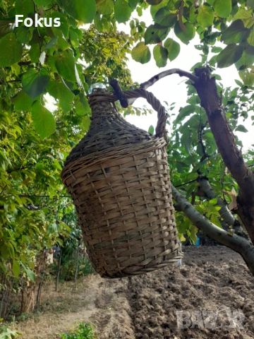 Стара стъклена дамаджана оплетена с ратан