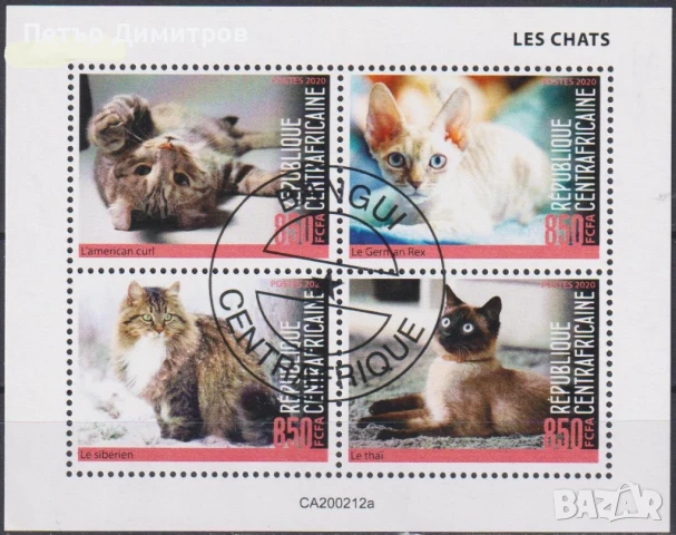 Клеймовани блокове Фауна Котки 2020 2021 от Централноафриканска република
