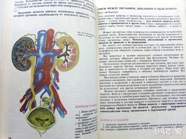 Природоведение 5. класс - 1986г.Издателство "Народна Просвета", снимка 5 - Учебници, учебни тетрадки - 52930038